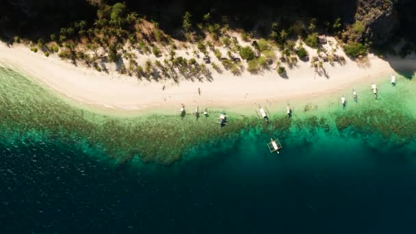 Havslandskap med tropisk strand och hav. — Stockvideo