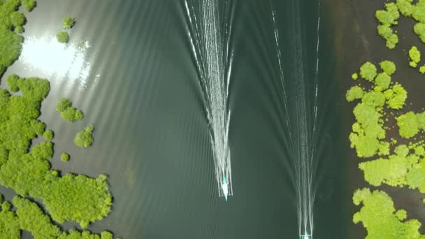 Widok z lotu ptaka na las Mangrove i rzekę. — Wideo stockowe
