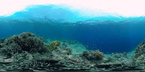 El mundo submarino de un arrecife de coral 360VR. —  Fotos de Stock