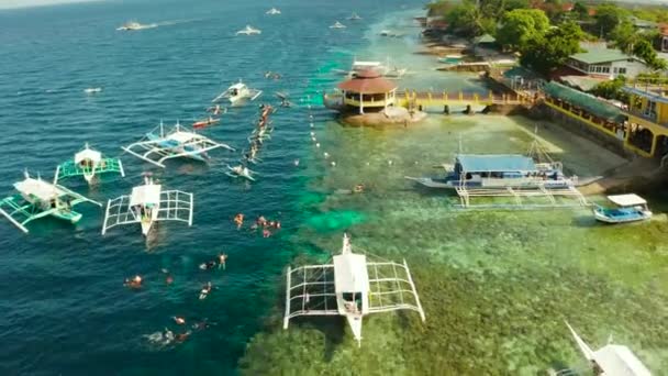 Turistas snorkeling em recife de coral, Moalboal, Filipinas — Vídeo de Stock