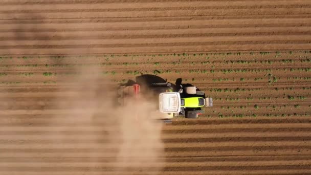 Сільськогосподарська техніка на картопляному полі обробляє землю — стокове відео