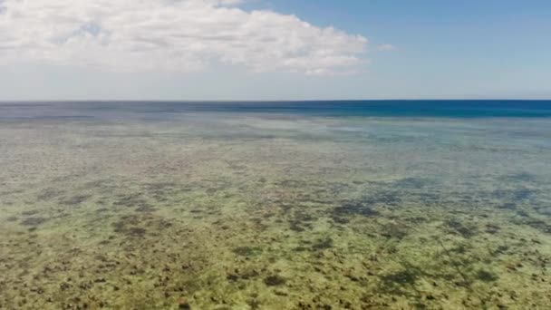 Vista superior de uma água limpa do oceano perto de uma costa — Vídeo de Stock