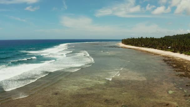 Η ακτή του νησιού Siargao, γαλάζιος ωκεανός και κύματα. — Αρχείο Βίντεο
