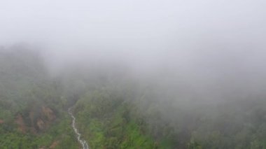 Yağmur ormanları ve bulutları olan dağlar. Filipinler, Mindanao