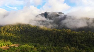 Yağmur ormanları ve bulutları olan dağlar. Filipinler, Mindanao