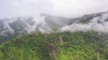Yağmur ormanları ve bulutları olan dağlar. Filipinler, Mindanao