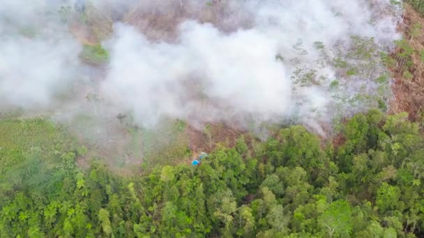 Termőföldeken keletkezett erdőtűz. — Stock videók