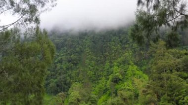 Yağmur ormanları ve bulutları olan dağlar. Filipinler, Mindanao