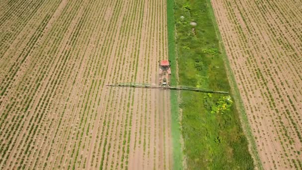 Spuiten van pesticiden op plantaardig veld met sproeiapparaat — Stockvideo