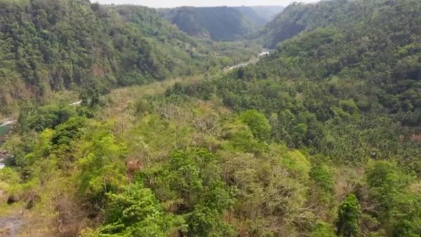 Berg mit Wald auf den Philippinen. — Stockvideo