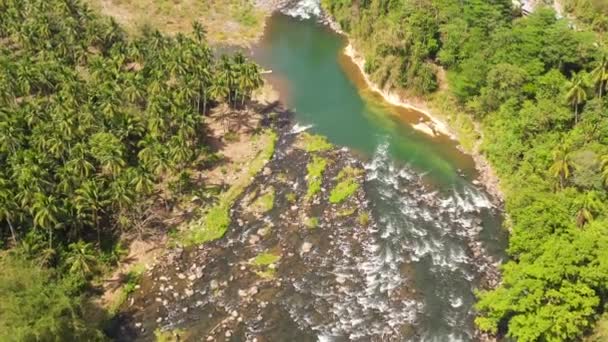 Un fiume ai tropici. — Video Stock