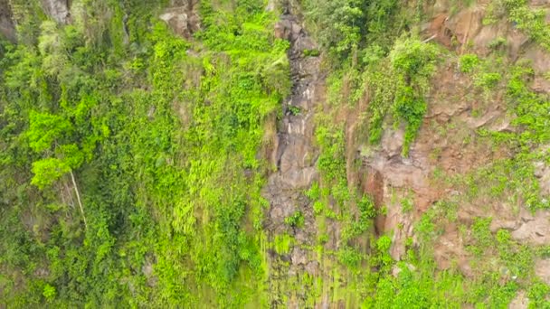 Berg med tropisk vegetation. — Stockvideo