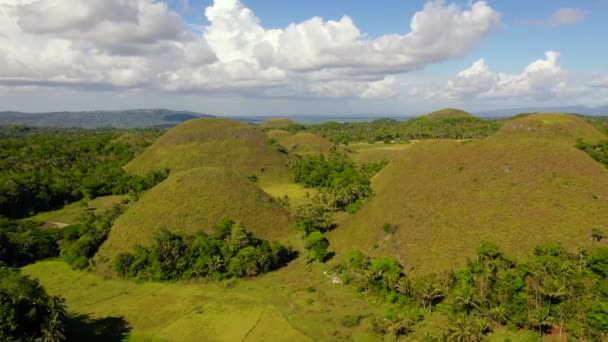 Chocolate hills.Bohol Filipinas. — Vídeo de Stock