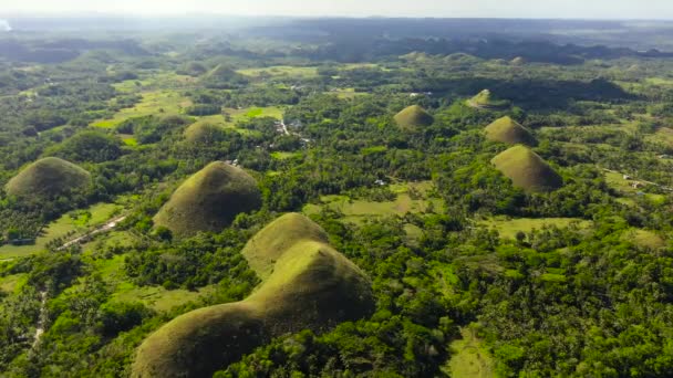 Chocolade heuvels.Bohol Filippijnen. — Stockvideo