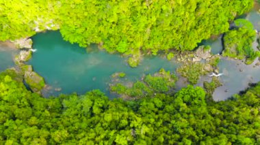 Ormandaki Loboc nehri. Bohol, Filipinler.