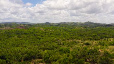 Dağ yağmur ormanları ve bulutlarla kaplı..