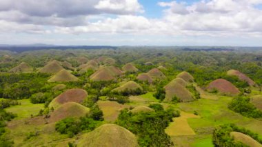 Çikolata tepeleri. Bohol Filipinleri..