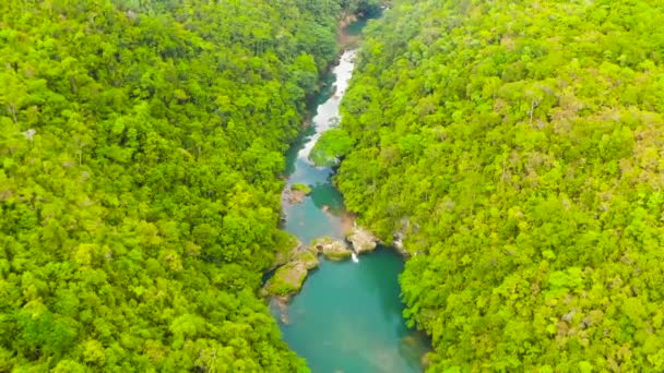 Река Лобок в джунглях. Феодосия, Филиппины. — стоковое видео