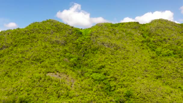 Colline e montagne con vegetazione tropicale. Bohol, Filippine. — Video Stock