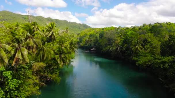 Loboc rivier in de jungle. Bohol, Filipijnen. — Stockvideo