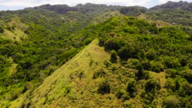 Tropikal bitki örtüsü olan tepeler ve dağlar. Bohol, Filipinler.