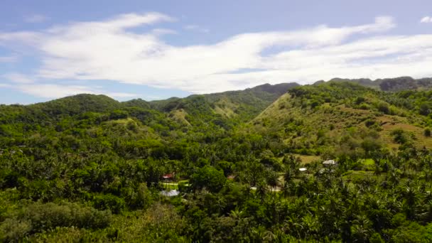丘や熱帯植物と山。フィリピンのボホール. — ストック動画