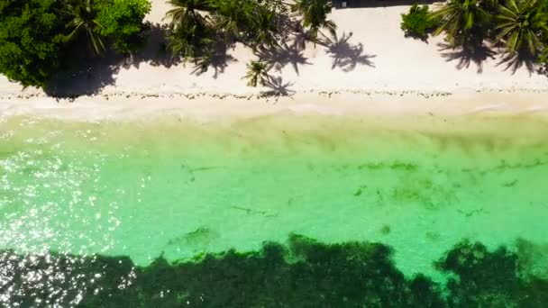 Zandstrand en tropische zee. Panglao eiland, Filippijnen. — Stockvideo