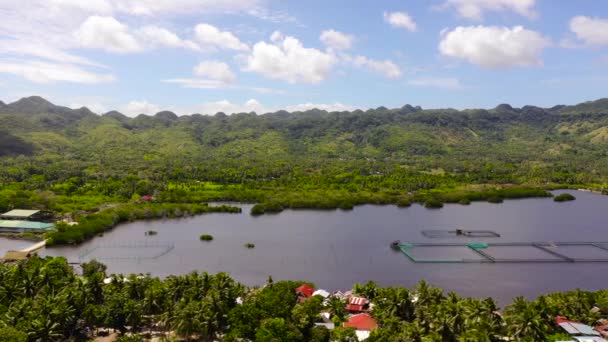 Viskwekerij met vijvers. Bohol, Filipijnen — Stockvideo