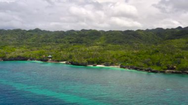 Kumsalı ve mavi denizi olan bir sahil. Anda Bohol, Filipinler.