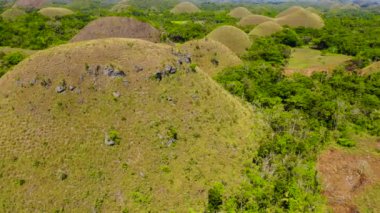 Çikolata tepeleri. Bohol Filipinleri..