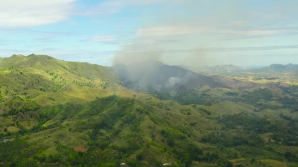 Bosbrand in het regenwoud. Bohol, Filipijnen. — Stockvideo