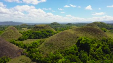 Çikolata tepeleri. Bohol Filipinleri..