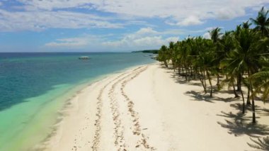 Kumsal ve tropikal deniz. Panglao Adası, Filipinler.