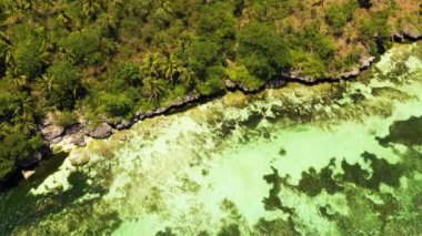 Güzel sahil ve turkuaz deniz. Anda Bohol, Filipinler.