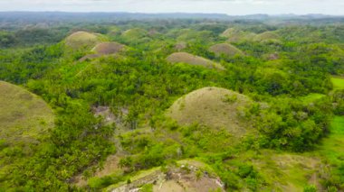Çikolata tepeleri. Bohol Filipinleri..