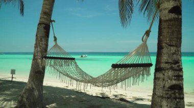 Kumsal ve tropikal deniz. Panglao Adası, Filipinler.