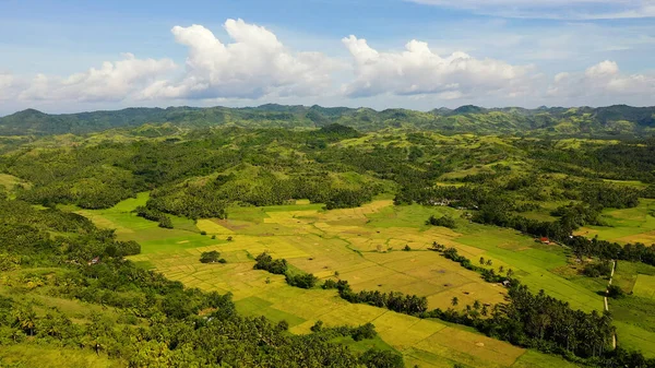 Campos de arroz en Filipinas. Paisaje de montaña con colinas verdes y tierras de cultivo. — Foto de Stock