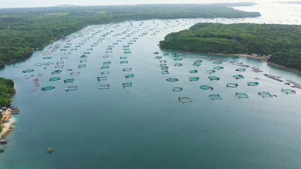 Balıkçılık endüstrisi. Endüstriyel ölçekte balık çiftliği. — Stok fotoğraf