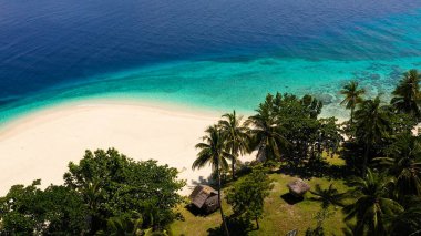 Plajı ve palmiye ağaçları olan tropik bir ada. Mahaba Adası, Filipinler.