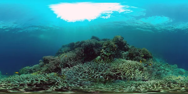 Κοραλλιογενής ύφαλος με ψάρια κάτω από το νερό. Camiguin, Φιλιππίνες — Φωτογραφία Αρχείου