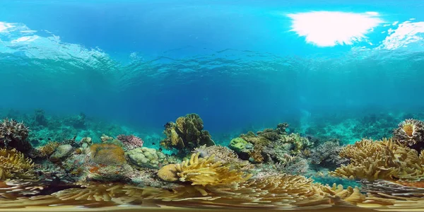 Recifes de corais e peixes tropicais subaquáticos 360VR. Panglao, Filipinas. — Fotografia de Stock