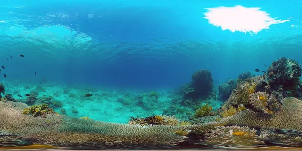 Ο υποβρύχιος κόσμος ενός κοραλλιογενή υφάλου 360VR. — Φωτογραφία Αρχείου