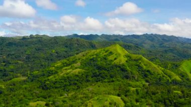 Tropikal bitki örtüsü olan tepeler ve dağlar. Bohol, Filipinler.