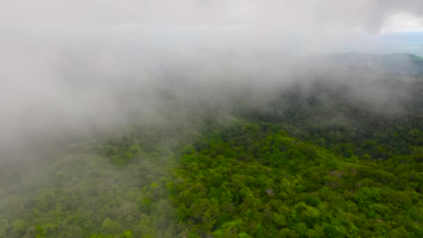 Kullar och berg med tropisk vegetation. Bohol, Filippinerna. — Stockvideo