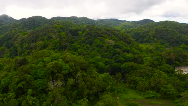 Colinas e montanhas com vegetação tropical. Bohol, Filipinas. — Vídeo de Stock