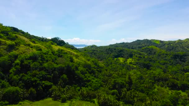 Vrchy a hory s tropickou vegetací. Bohol, Filipíny. — Stock video