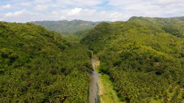 Dağ manzarası, yağmur ormanları, hava manzarası. Filipinler, Leyte Adası 'ndaki dağlarda bir nehir..