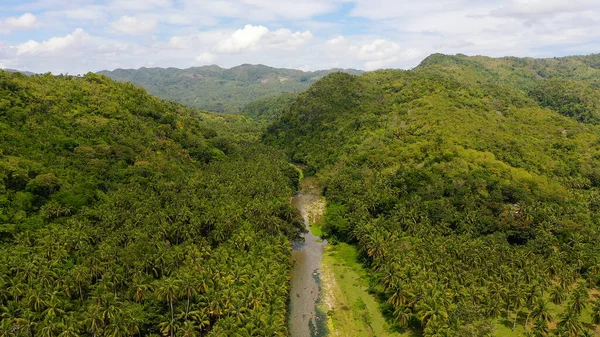 Paisagem montanhosa com floresta tropical, vista aérea. Um rio nas montanhas em Leyte Island, Filipinas. — Fotografia de Stock