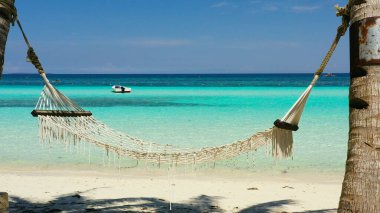 Kumsal ve tropikal deniz. Panglao Adası, Filipinler.