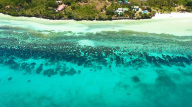 Kumsalı ve mavi denizi olan bir sahil. Anda Bohol, Filipinler.